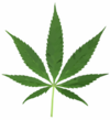 Ganja Dir