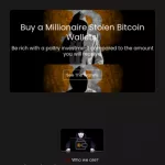 Millionaire Stolen Bitcoin Wallets