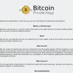 Mega Wallets